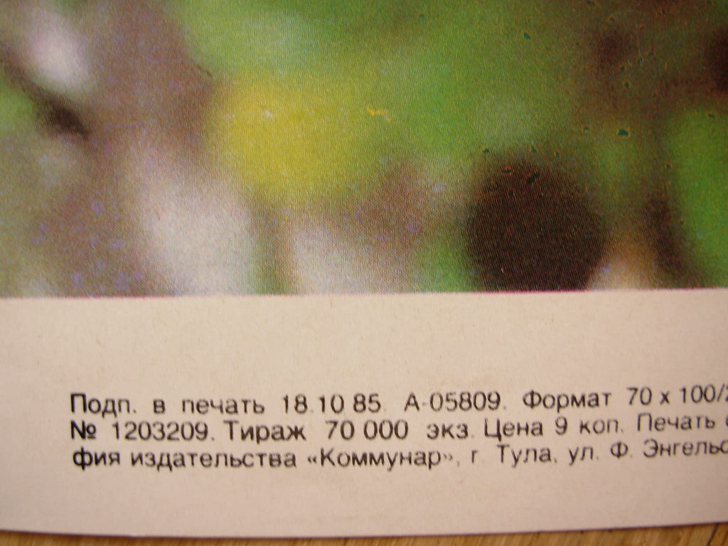 6574399