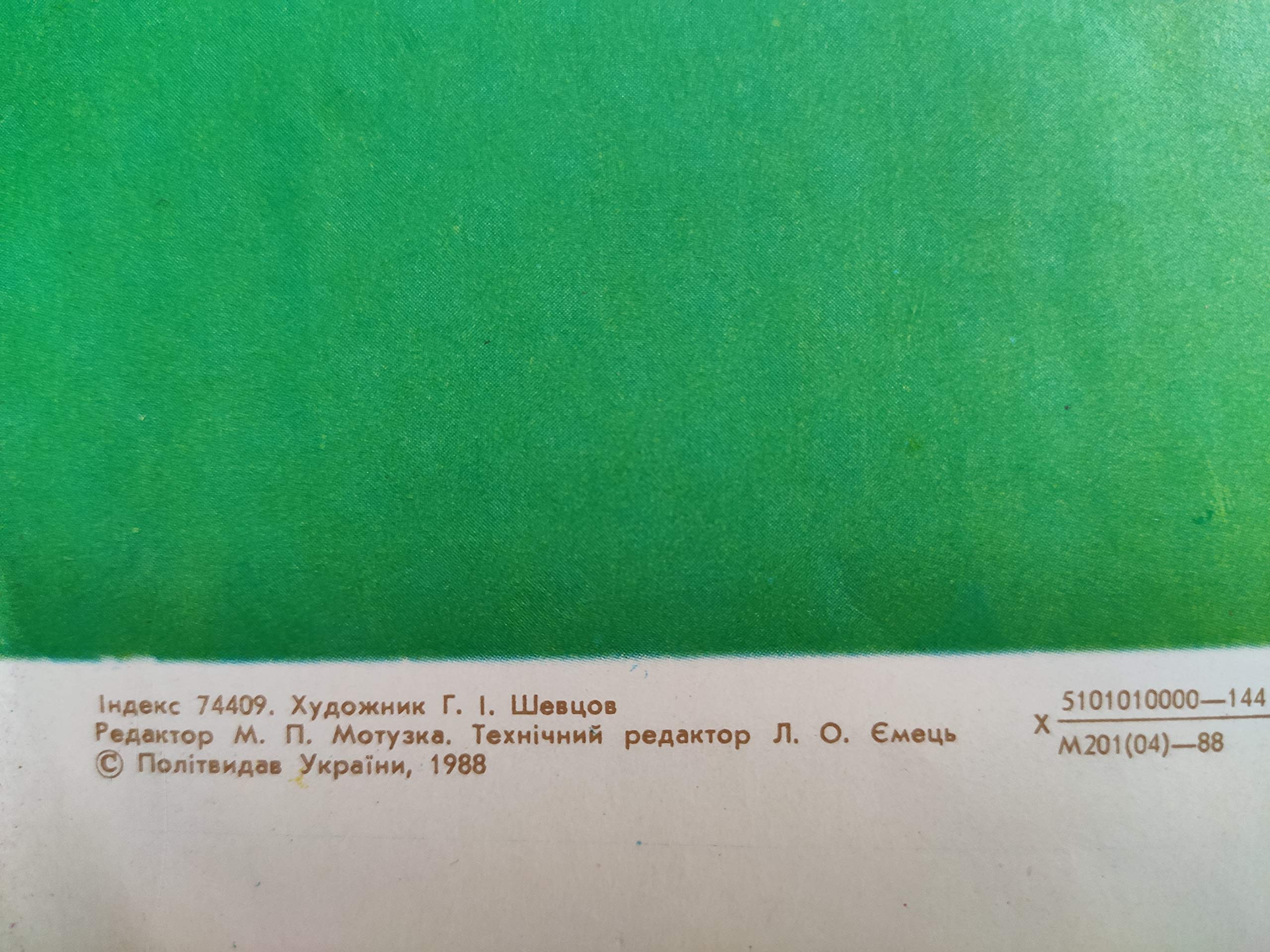 6573977